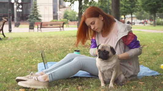 梳理她的八哥犬在公园中的女孩