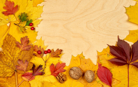 秋天的叶子在木头背景上
