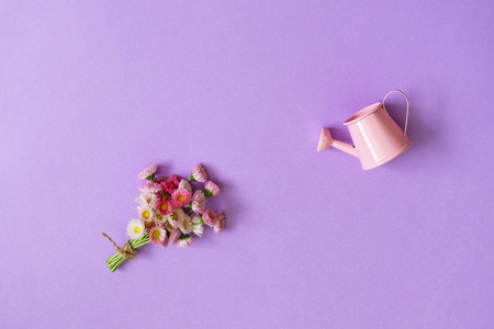 夏季创意作文以最小的风格。 白色和粉红色的玛格丽特雏菊花束和小浇水罐在紫色背景上。 园艺概念，俯视图，平躺复印空间