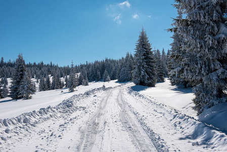 森林中的雪山乡村道路图片