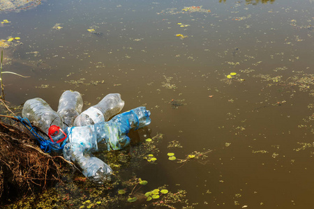 垂死的小河长满了沼泽植物。 周围污染跨越藻类的快速生长。 生态问题。 水中的垃圾。 塑料瓶污染自然。 河里的瓶子和垃圾
