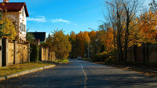 秋天在城市街道上散步，秋天树，晴朗的一天，城市风景美丽
