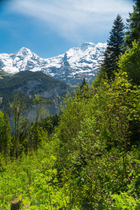 瑞士劳特布伦宁区斯泰切尔伯格附近瑞士阿尔卑斯山景观的壮观山景和徒步旅行小径