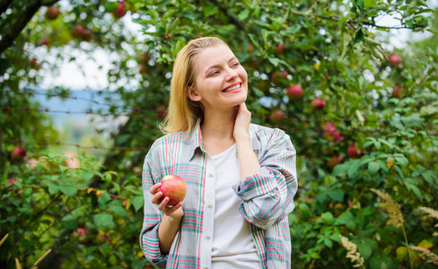 农夫漂亮的金发与食欲红苹果。收获季节的概念。妇女持有苹果花园背景。农场生产有机天然产品。女孩乡村风格收集收获花园秋季日