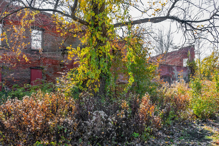 新泽西州伯灵顿县史密维尔村的废弃工业厂房。