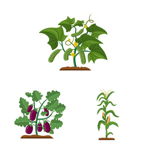 温室和植物标志的孤立对象。一套温室和花园股票符号的网站