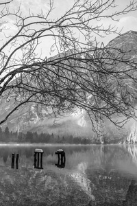 宁静的冬季自然，平静的湖水，背景是裸露的树枝和山脉。