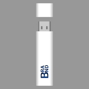 白色 usb 闪存图标, 逼真的风格