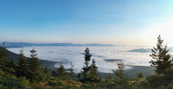 乌克兰自然全景景观。喀尔巴阡山脉, 西乌克兰。山坡上茂密的森林。低云层漂浮在山脉之间。蓝色晴朗的天空。背景模糊