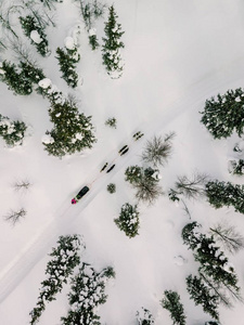 芬兰拉普兰雪橇与哈士奇狗的鸟瞰。 上面的无人机摄影