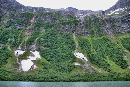 s summer Norwegian landscape