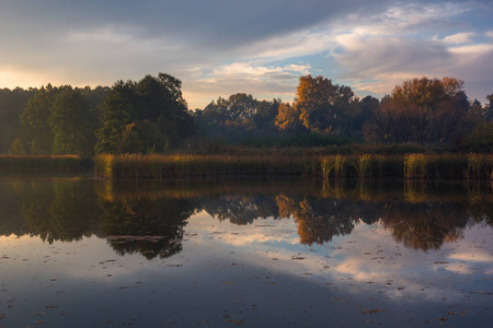 波兰拉斯津马索维亚附近的法兰蒂的秋天池塘