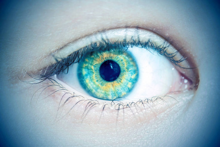美丽的绿色眼睛有黄色的污渍，特写。划