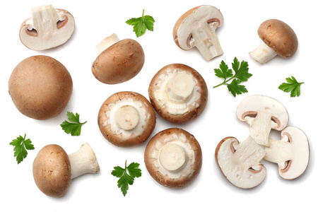 白色背景下分离出的新鲜香菜蘑菇。顶部视图