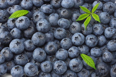 健康的背景。 蓝莓的质地。 蓝莓的背景。 水果背景。