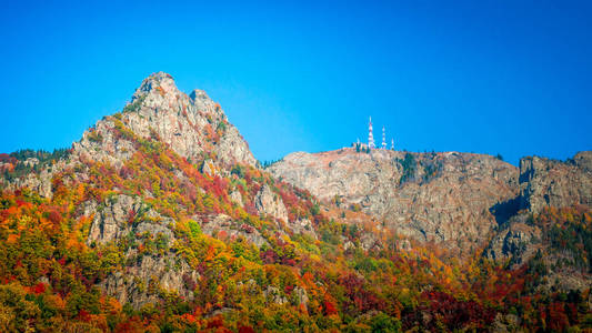 罗马尼亚喀尔巴阡山科齐亚的秋天。森林中生动的秋色。阳光透过树枝照射到大自然的景色.五彩缤纷的秋叶。绿色，黄色，橙色，红色。