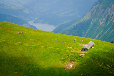 典型的夏季山脉瑞士风景