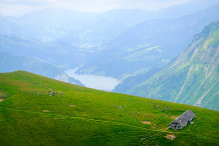 典型的夏季山脉瑞士风景