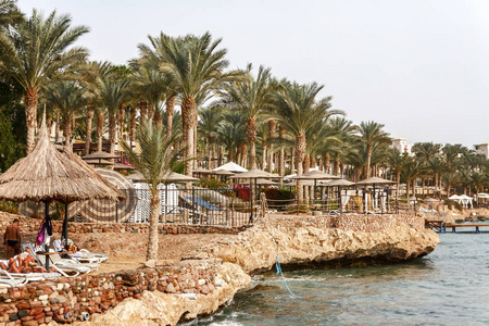 海滩海岸的景色与棕榈树，茅草伞躺椅在沙姆沙伊赫埃及。 强烈的波浪撞击岩石海岸