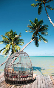 沙滩旁的木甲板上的藤椅，绿松石色的椰子棕榈树