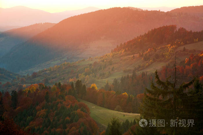 秋天的群山使山谷中的树木变黄,五彩缤纷,景色优美