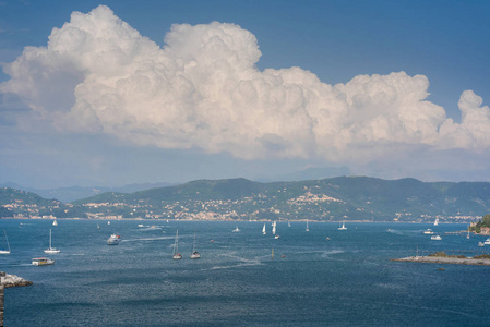 拥有许多帆船游艇的Portovenere湾全景。意大利利古里亚