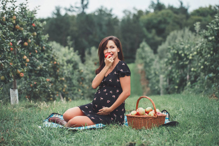 快乐健康的怀孕。 怀孕的年轻黑发白种人妇女坐在草地上吃苹果的肖像。 美丽的期待妈妈女士在农场在乡村乡村乡村风格。