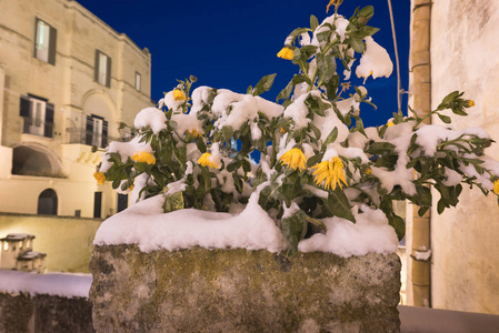 意大利南部冬季完全被雪覆盖的物质城市的独特景色