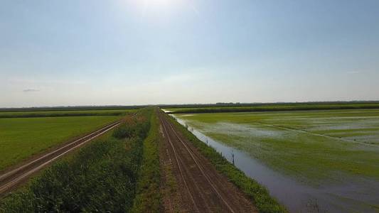 在淹水的田地里种植水稻。 成熟的水稻在田间收割开始。 鸟的视野。 淹了稻田。 田间水稻种植的农艺方法。 用水稻播种的水淹没田野。