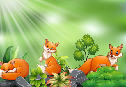 狐狸卡通组的自然场景
