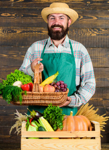 农夫草帽呈现新鲜蔬菜。与本土蔬菜。新鲜的有机蔬菜柳条篮子和木箱。男子开朗的胡子附近蔬菜木背景