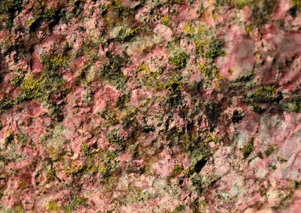 背景纹理的石头，上面有小苔藓。