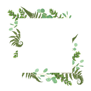 矢量卡花艺设计与绿色水彩森林蕨类植物草本桉树枝桉树植物绿色装饰框架广场。 可爱的问候明信片模板婚礼发明