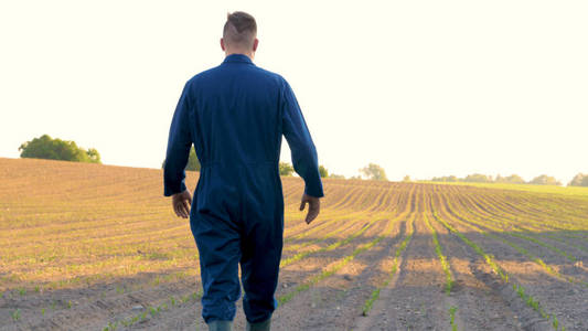 一个穿着蓝色长袍的年轻农民走在田野上，看着种植的植物。概念清洁空气，生物，农业..