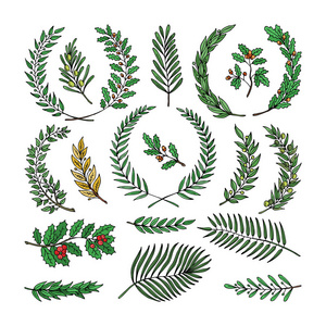花圈向量树分支先驱装饰与用链子橄榄树叶和 flaurel 装饰例证集纹章希腊奖装饰查出的白色背景