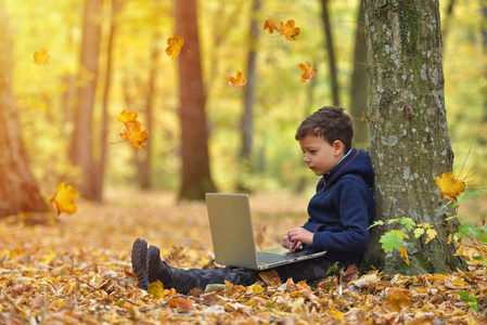 小男孩带着笔记本电脑，森林秋色，夕阳，温暖的光