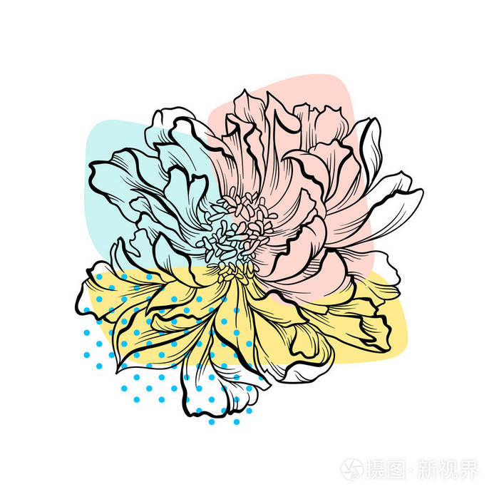 美丽的手画花五颜六色的抽象背景.开花牡丹.线性矢量图