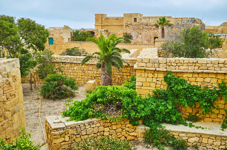 漫步拉巴特城堡的城墙，观看古老城镇的废墟，保存的石墙和基础覆盖着茂盛的绿色植物维多利亚戈佐马耳他。