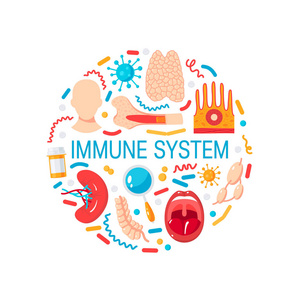 免疫系统向量概念