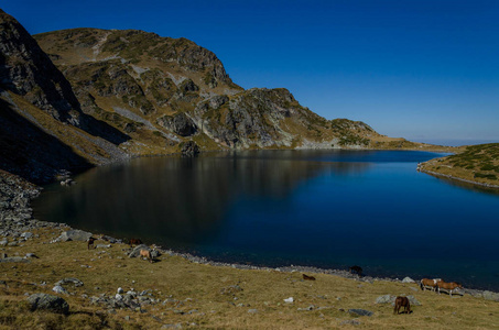 巴布雷卡湖肾脏是保加利亚西北部里拉山的一组冰川湖泊之一。2018年秋季