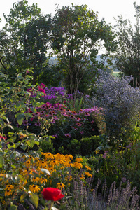夏季傍晚巴伐利亚乡村的农舍花园花卉
