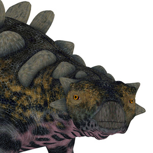 龙是白垩纪生活在中国的一种强直性装甲恐龙。
