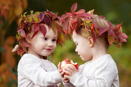 美丽的小双胞胎女孩在秋天的花园里拿着苹果。 蹒跚学步的孩子在秋天收获时吃水果。 健康的营养。 儿童秋季活动。 万圣节和感恩节时间