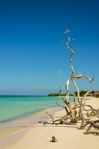 加勒比海古巴热带和异国风情的沙滩