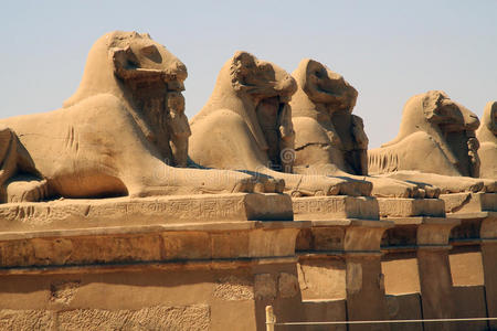 kom ombo双宫公羊