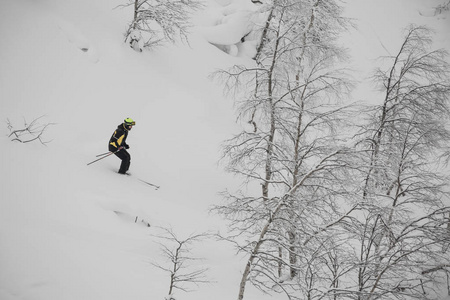 冬季拉普兰野山林坡上的自由滑雪者