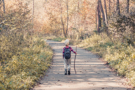 小男孩带着背包和木棍走在秋林的小径上，快乐的童年和冒险搜索的概念