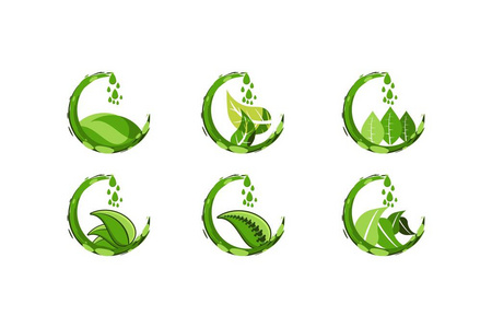 设置滴绿色果汁水和树叶食品健康标志设计灵感隔离白色背景