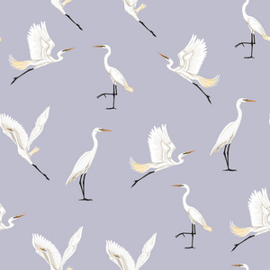 热带鸟类的无缝图案背景。 白鹭鹦鹉。 彩色矢量插图