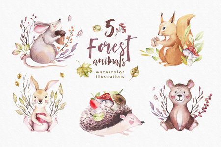 可爱的婴儿动物保育鼠兔和熊孤立的儿童插图。 水彩画，布霍林画，松鼠，水彩，刺猬形象，完美的苗圃海报图案